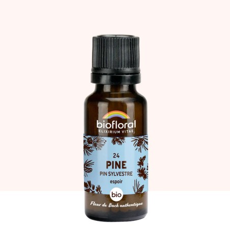 Pine (Pin sylvestre) N°24 granules bio