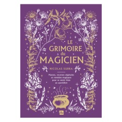 Le grimoire du magicien - Nicolas Subra