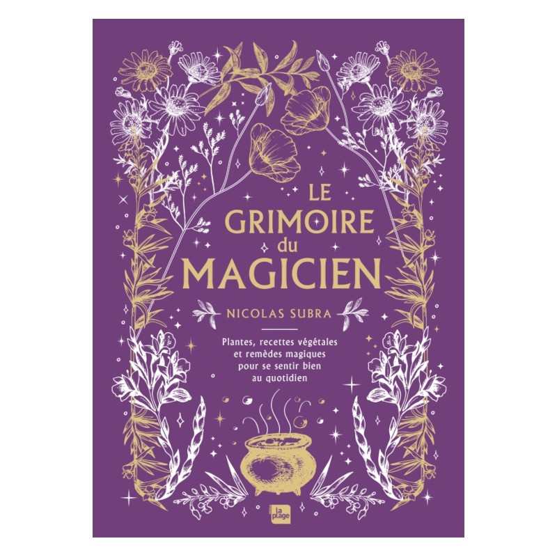 Le grimoire du magicien - Nicolas Subra