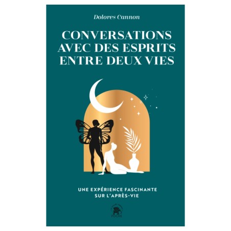 Conversations avec des esprits entre deux vies de Dolores Cannon
