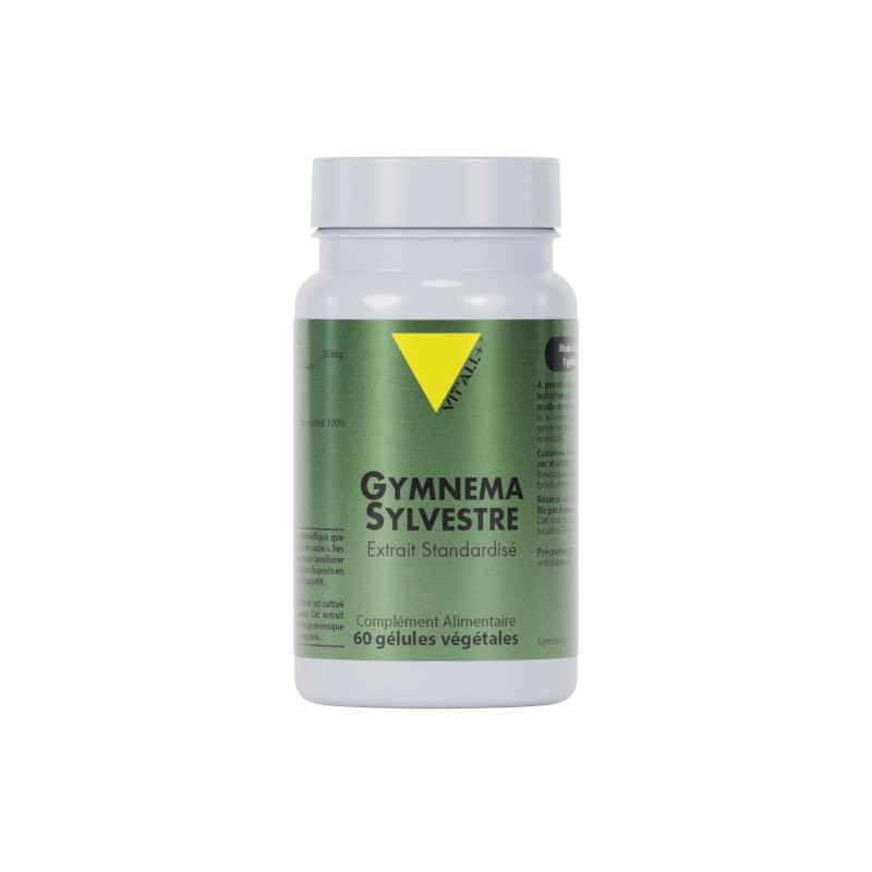 Gymnema sylvestre 60 gélules