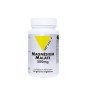 Magnésium Malate 500mg 60 gélules